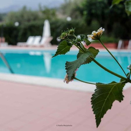 Il Casale Il Sole E La Margherita Campofelice Di Roccella Dış mekan fotoğraf