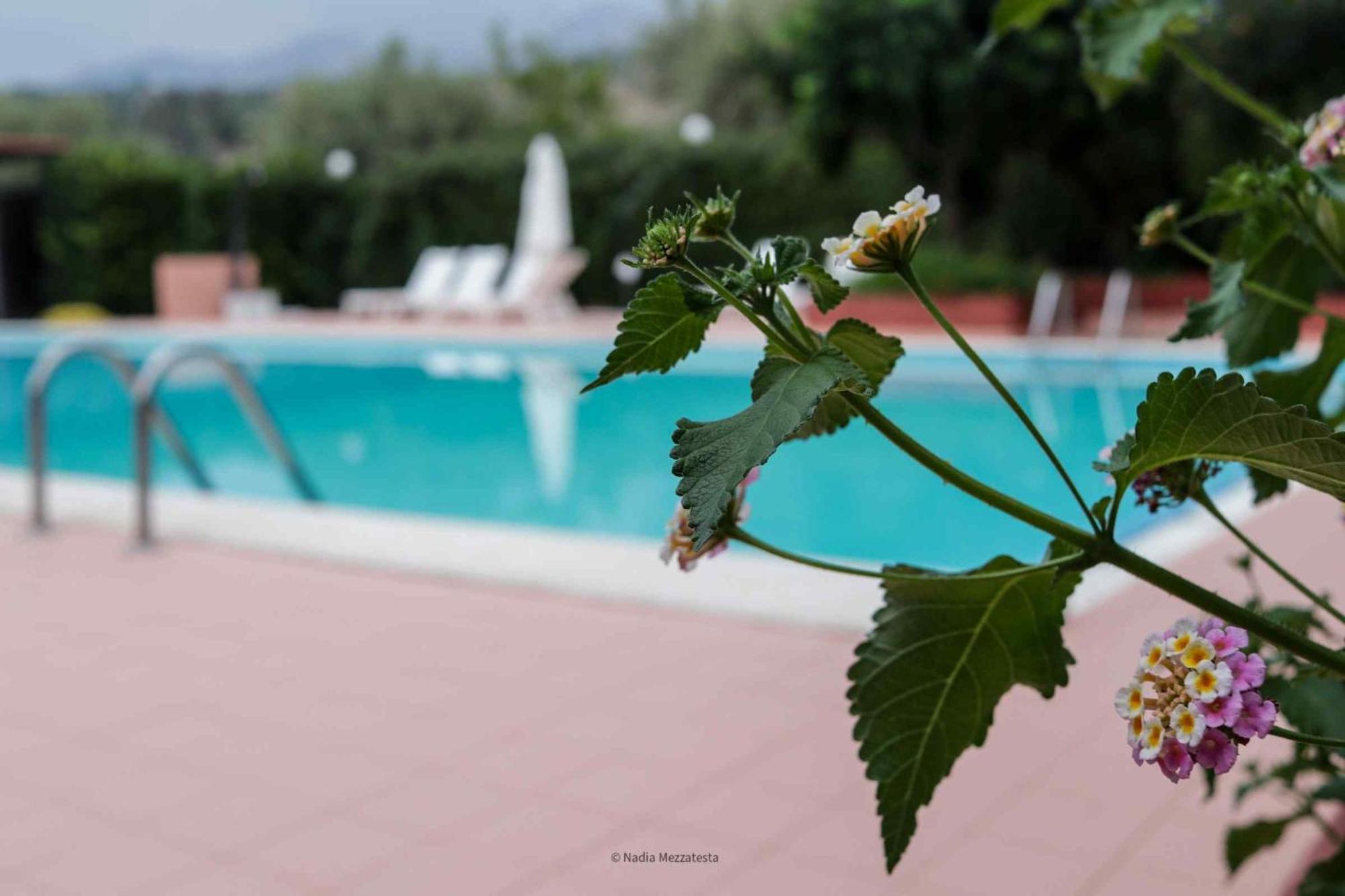 Il Casale Il Sole E La Margherita Campofelice Di Roccella Dış mekan fotoğraf
