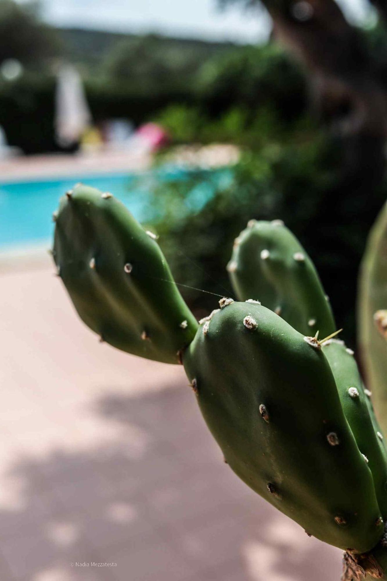 Il Casale Il Sole E La Margherita Campofelice Di Roccella Dış mekan fotoğraf