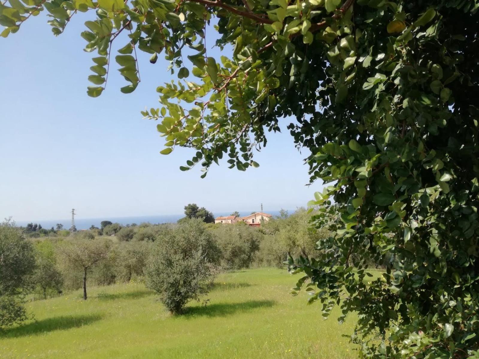 Il Casale Il Sole E La Margherita Campofelice Di Roccella Dış mekan fotoğraf