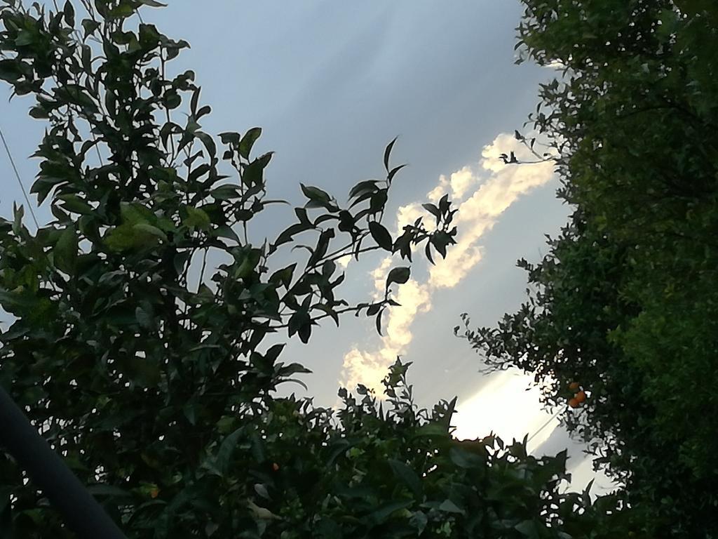 Il Casale Il Sole E La Margherita Campofelice Di Roccella Dış mekan fotoğraf