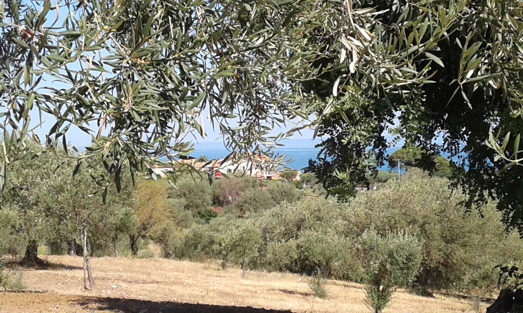 Il Casale Il Sole E La Margherita Campofelice Di Roccella Dış mekan fotoğraf